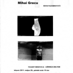 Grecu_Mihai_10