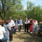 vesszo_49